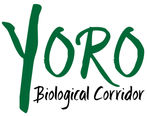 Logo representing this Honduras forest corridor.