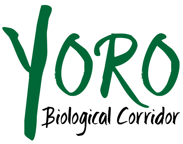 Logo representing this Honduras forest corridor.